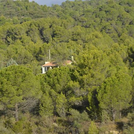 La Petite Cigale Villa Cesseras Exterior photo
