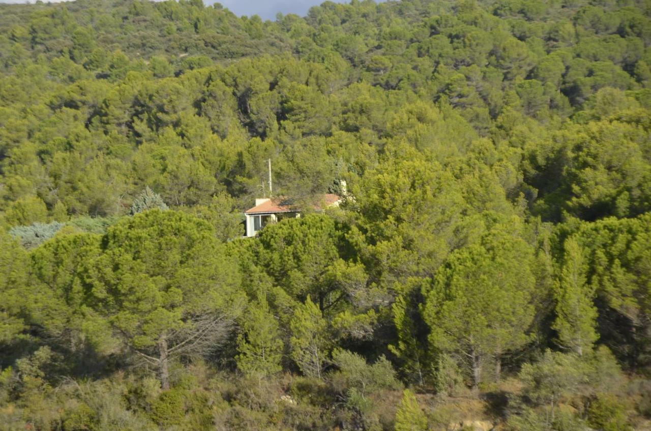 La Petite Cigale Villa Cesseras Exterior photo